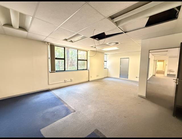 301M² OFFICE TO LET IN ROSEBANK